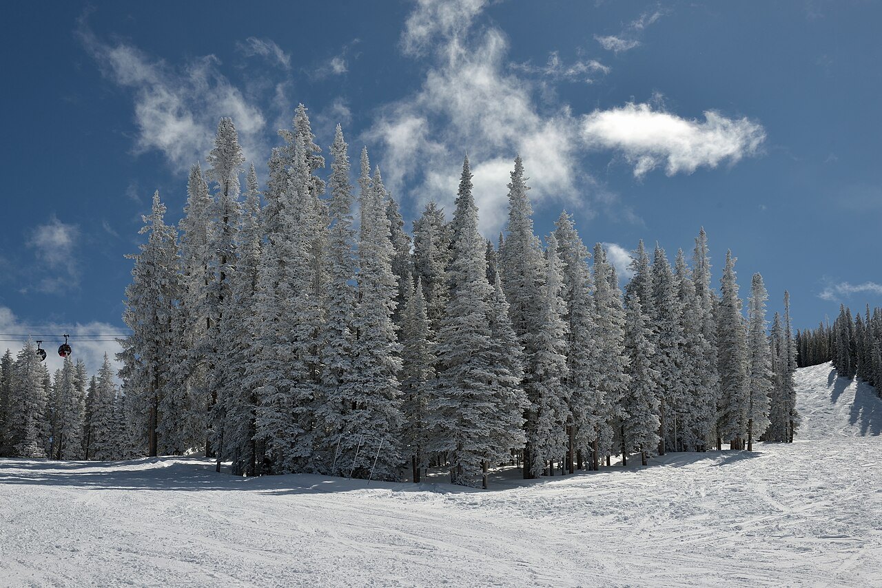 Aspen area winter mountain scenery for Aspen to Crested Butte transportation