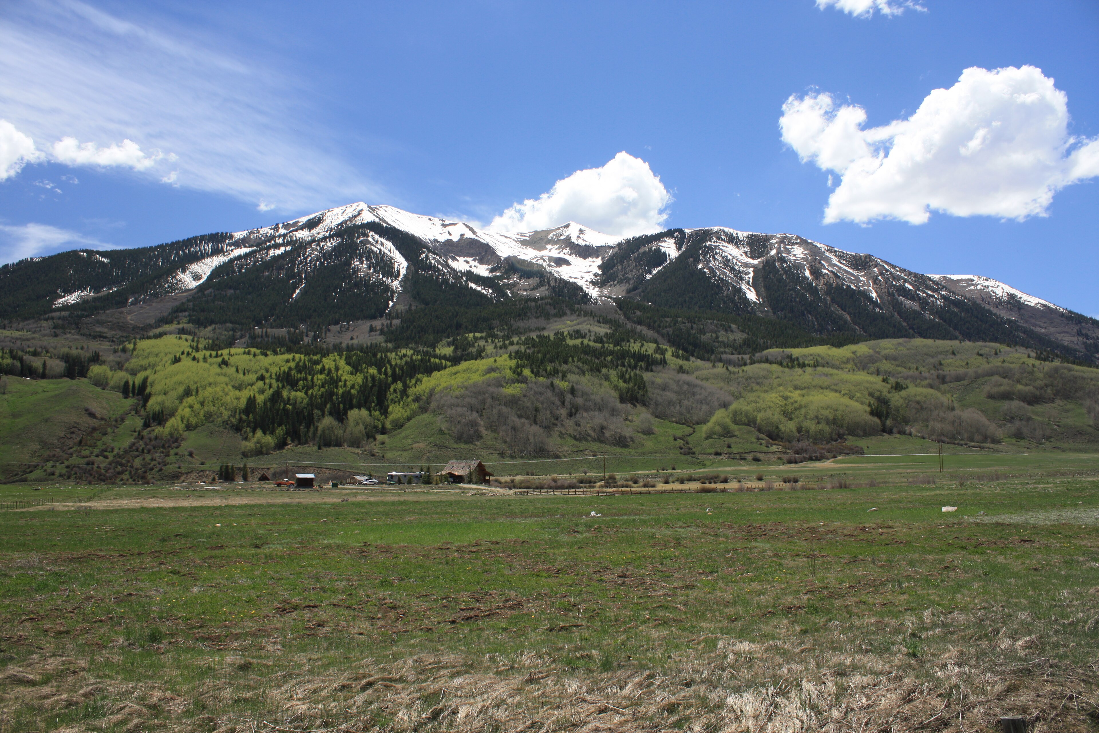Crested Butte summer wildflowers for Aspen to Crested Butte transportation